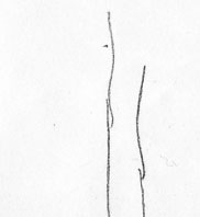 properties image